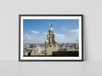 Bertie's Perch: Atop the Iconic Liver Building