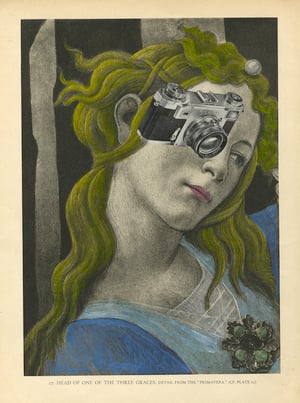 Image of The Female Gaze - note cards