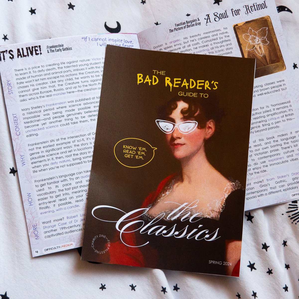 Image of The Bad Reader's Guide to The Classics