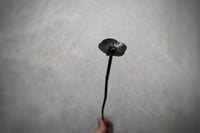 Image 2 of Forged Poppy