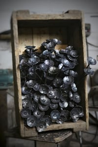 Image 4 of Forged Poppy