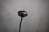 Image 3 of Forged Poppy