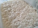Sourdough Starter