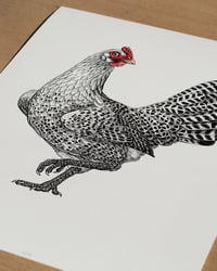 Image 3 of Groninger Meeuw | 30x40 cm Giclée print