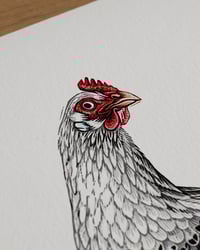 Image 5 of Groninger Meeuw | 30x40 cm Giclée print