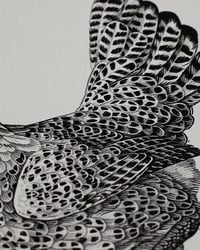 Image 4 of Groninger Meeuw | 30x40 cm Giclée print