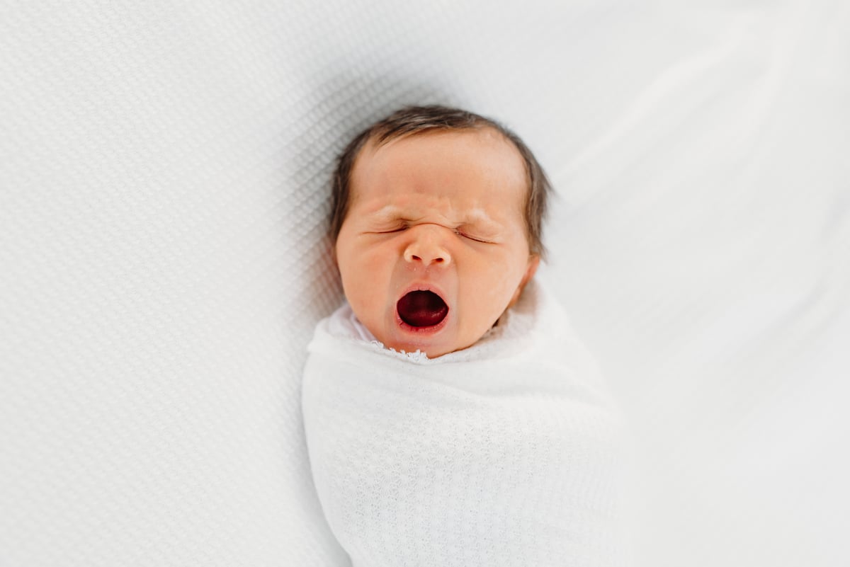 Image of newborn photo session fee