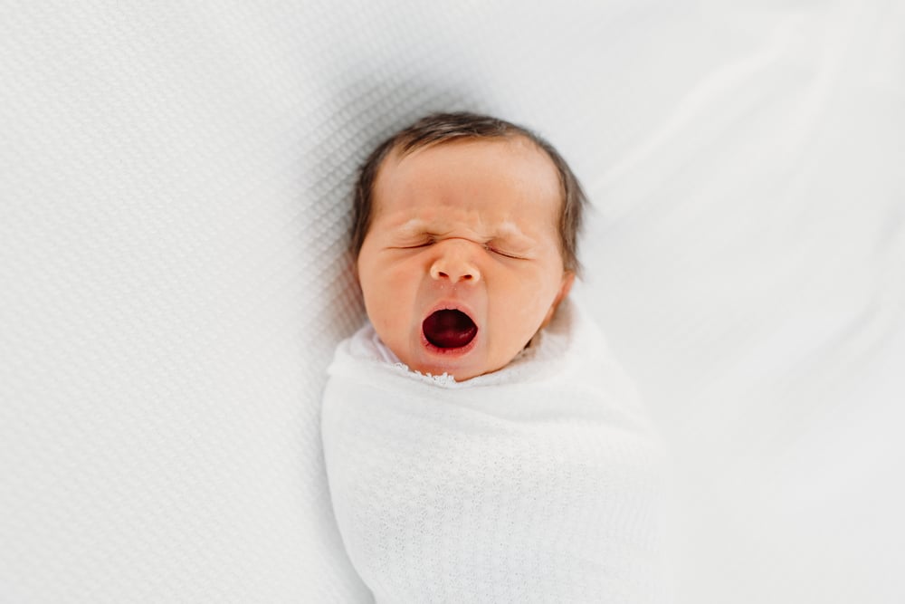 Image of newborn photo session fee