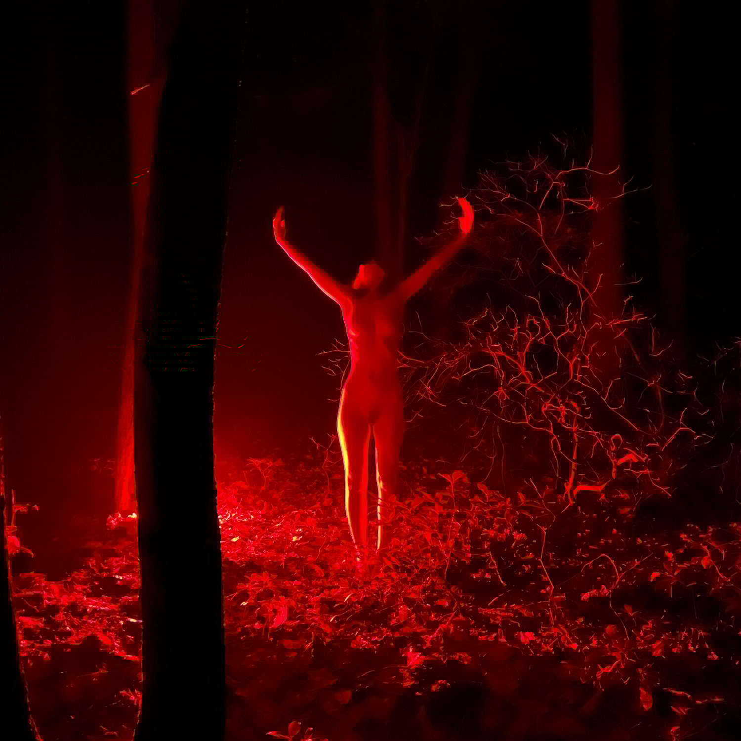 Image of We dance at midnight deep in the heart of the forest part I. 1/1 sigilised curio.