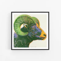 Image 1 of Andy Warhol - Bighorn Ram, Endangered Species Portfolio, Giclee Print, Poster