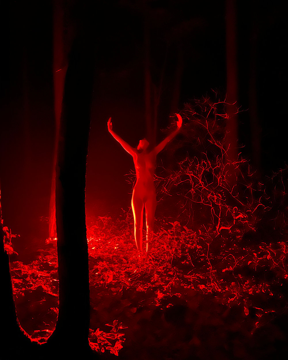 Image of We dance at midnight deep in the heart of the forest part I. Limited print edition of 11.