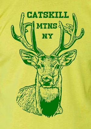 Image of Catskill Mountains Deer