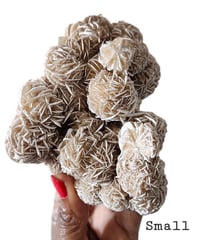 Image 2 of Desert Rose Raw Specimen