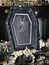 Image 1 of LARGE handmade coffin frame - Real Preserved Web  