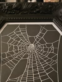 Image 3 of LARGE handmade coffin frame - Real Preserved Web  