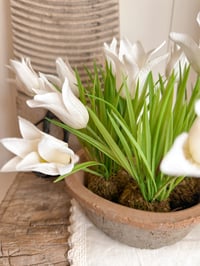 Image 2 of Tulips on moss balls ( Set of 2 or 4 )