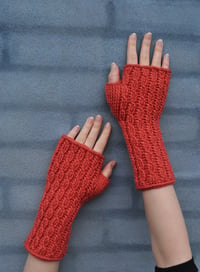 Image 1 of Sno fingerless gloves - english