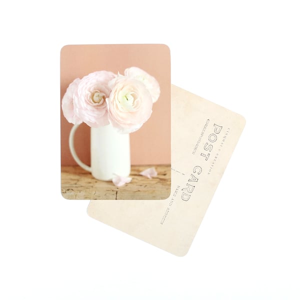 Image of Carte Postale RENONCULES DE MARS