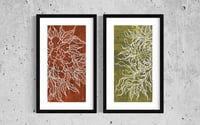 Image 2 of Peony & Chrysanthemum Illustration Duo  - Prints (10x20" each)