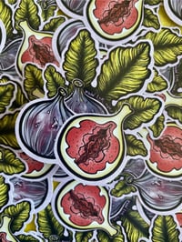 Image 3 of Dragon Fruit Vulva 3" Sticker