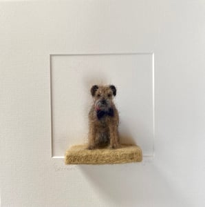 Image of Bernard the Border Terrier
