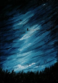 Bird on the Wire, After the Rain. 2024