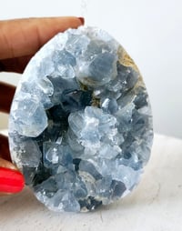 Image 4 of Celestite Geode 