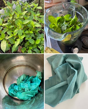 Image of Seashell, tiny velvet kisslock purse with plant-dyed lining