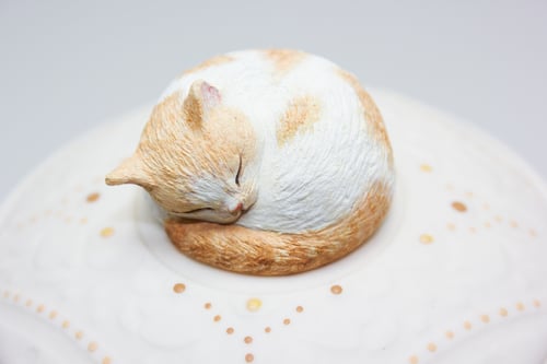 Image of Custom Orange Tabby Pet Urn with Portrait and Name