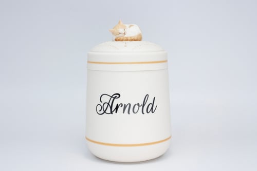 Image of Custom Orange Tabby Pet Urn with Portrait and Name