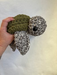 Image 1 of turtles 