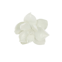 Image 1 of   Magnolia Wall Flower