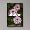 Bloom Magazine - Issue 16 
