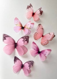 Image 1 of Pink Sherbet (set of 6)