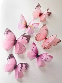 Image 2 of Pink Sherbet (set of 6)