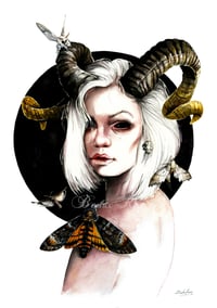 Image 1 of The Sphinx Witch