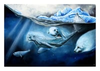 Image 1 of The mermaid of the arctic