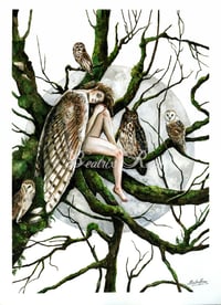 Image 1 of The spirit of the barn owl