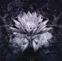 Soiled Hate "The Nine Billion Names of Hate" - LP