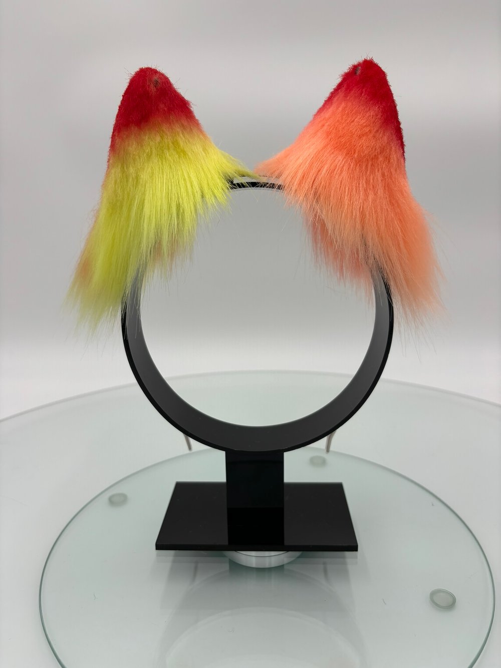Image of Tequila Sunrise Kitten Ears