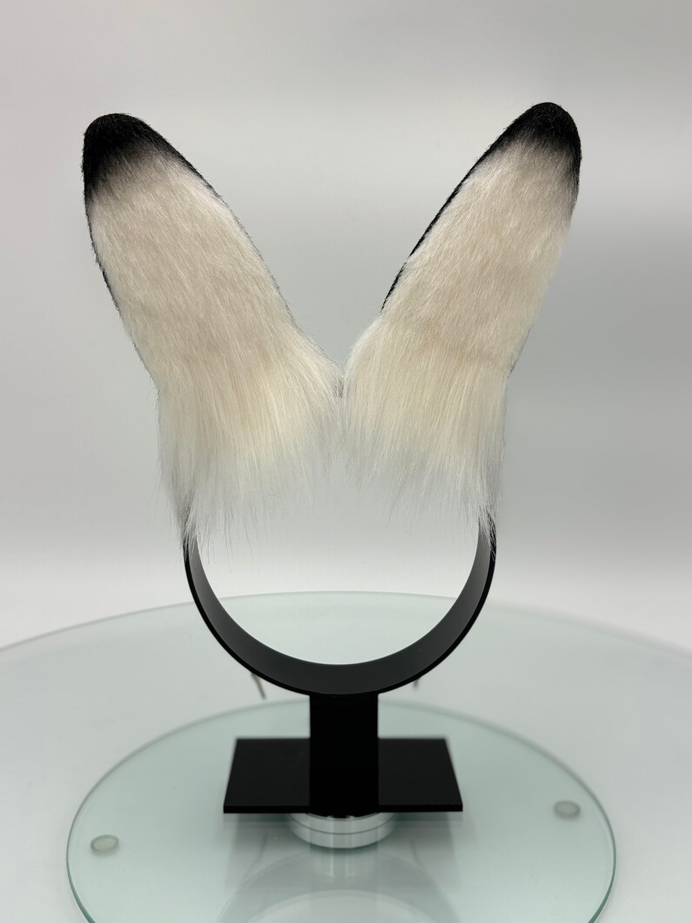 Image of Black & White Mini Bun Ears