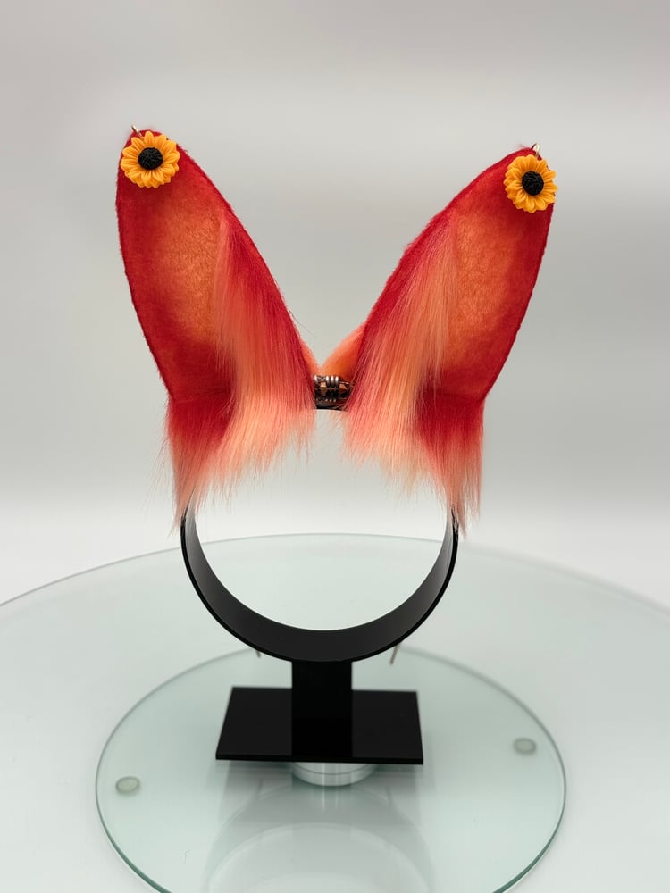 Image of Tequila Sunflower Mini Bun Ears