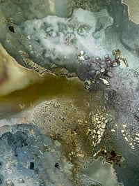 Image 4 of Flourishing Sea