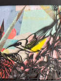 Papercut and collage Australian sunbird  (3 Left)