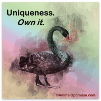 Image 1 of Bird: Uniqueness. Own it.