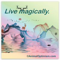 Image 1 of Deer: Live magically