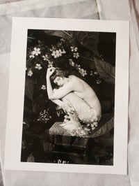 Image 1 of "Soft & Tasty Insmonia" darkroom Print