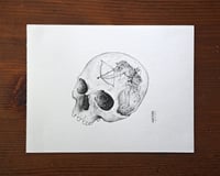 Image 1 of Painted Skull III · Original Art