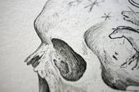 Image 2 of Painted Skull IV · Original Art