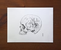 Image 1 of Painted Skull IV · Original Art